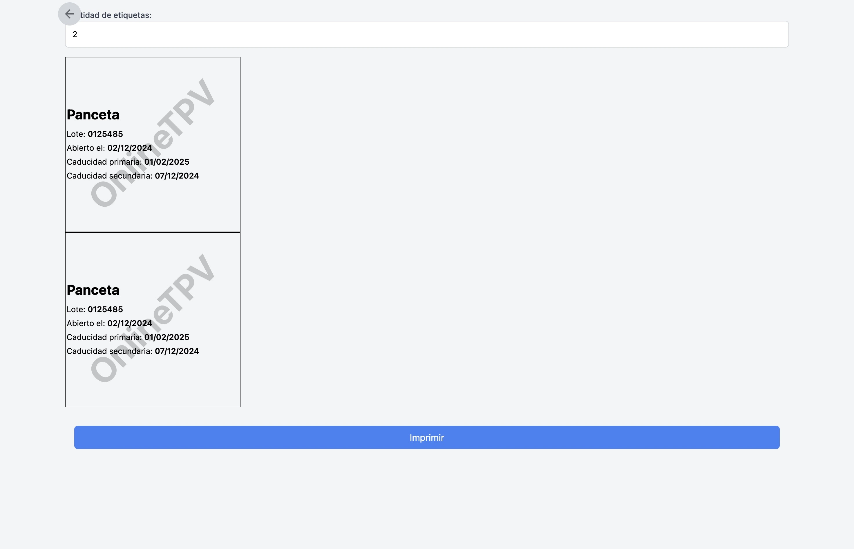 Interfaz de impresión mostrando las opciones de configuración y vista previa